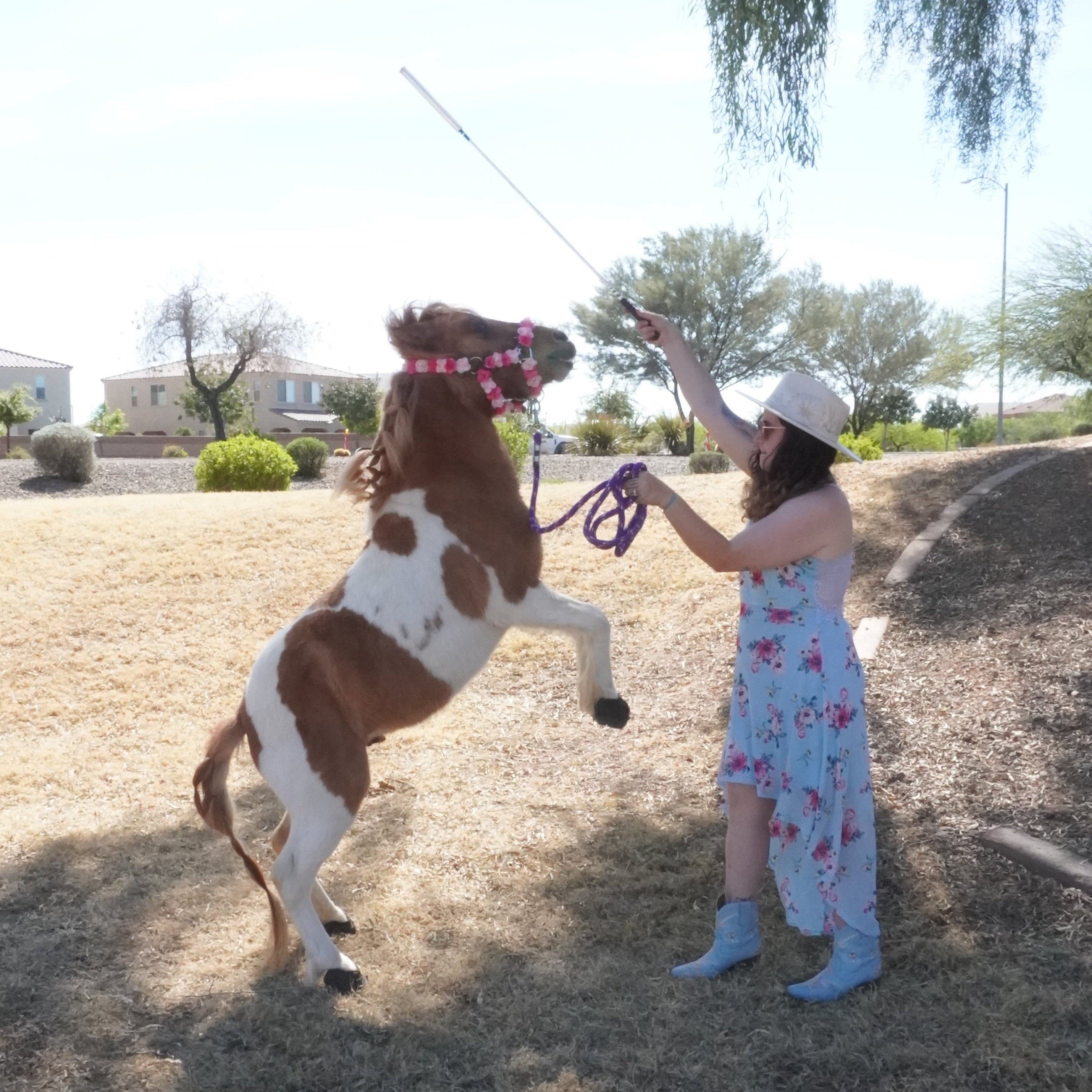 Woman in a floral dress interacting with a horse in an open field.