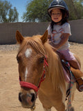 Horsemanship with Spirit