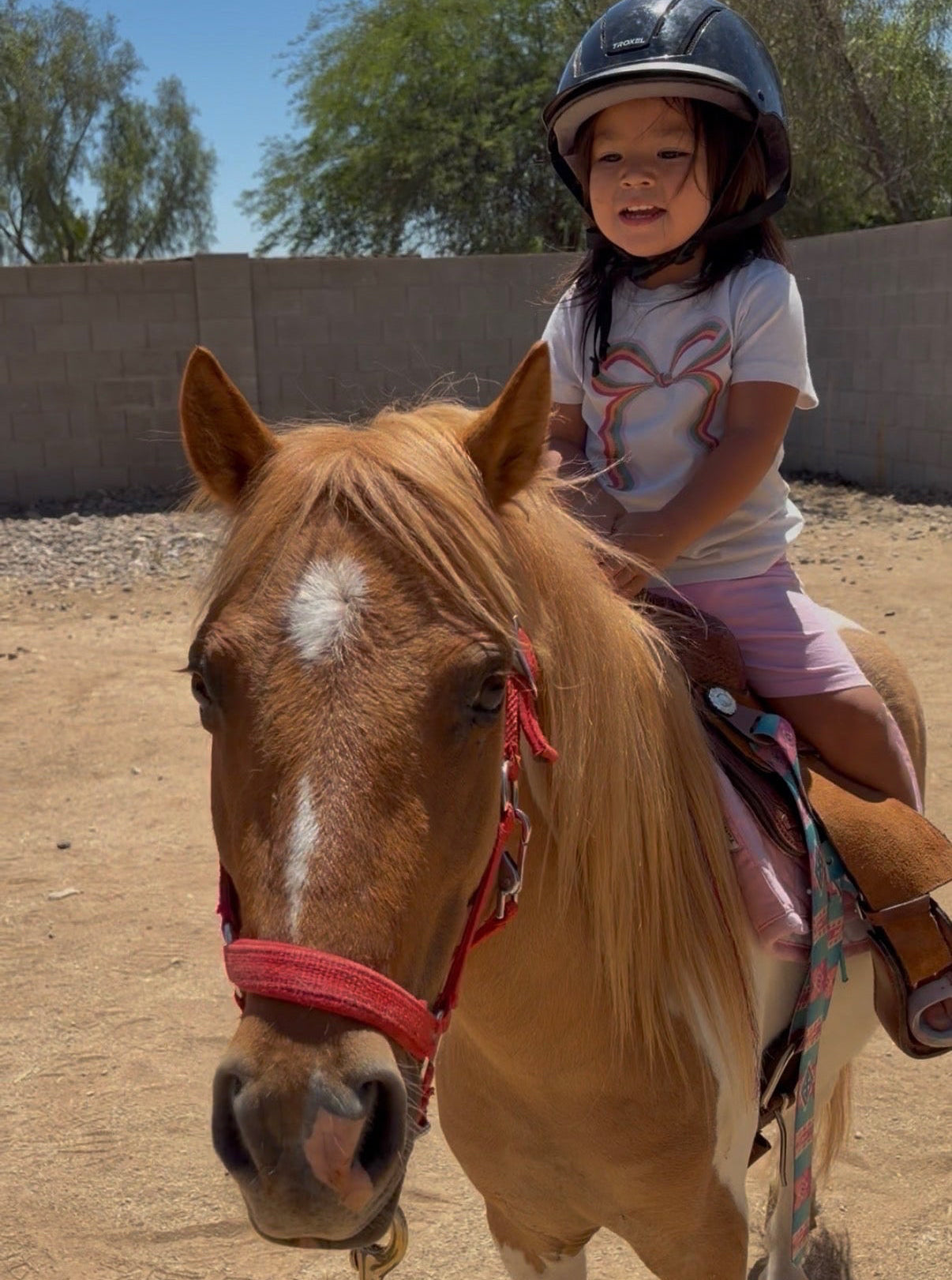 Horsemanship with Spirit