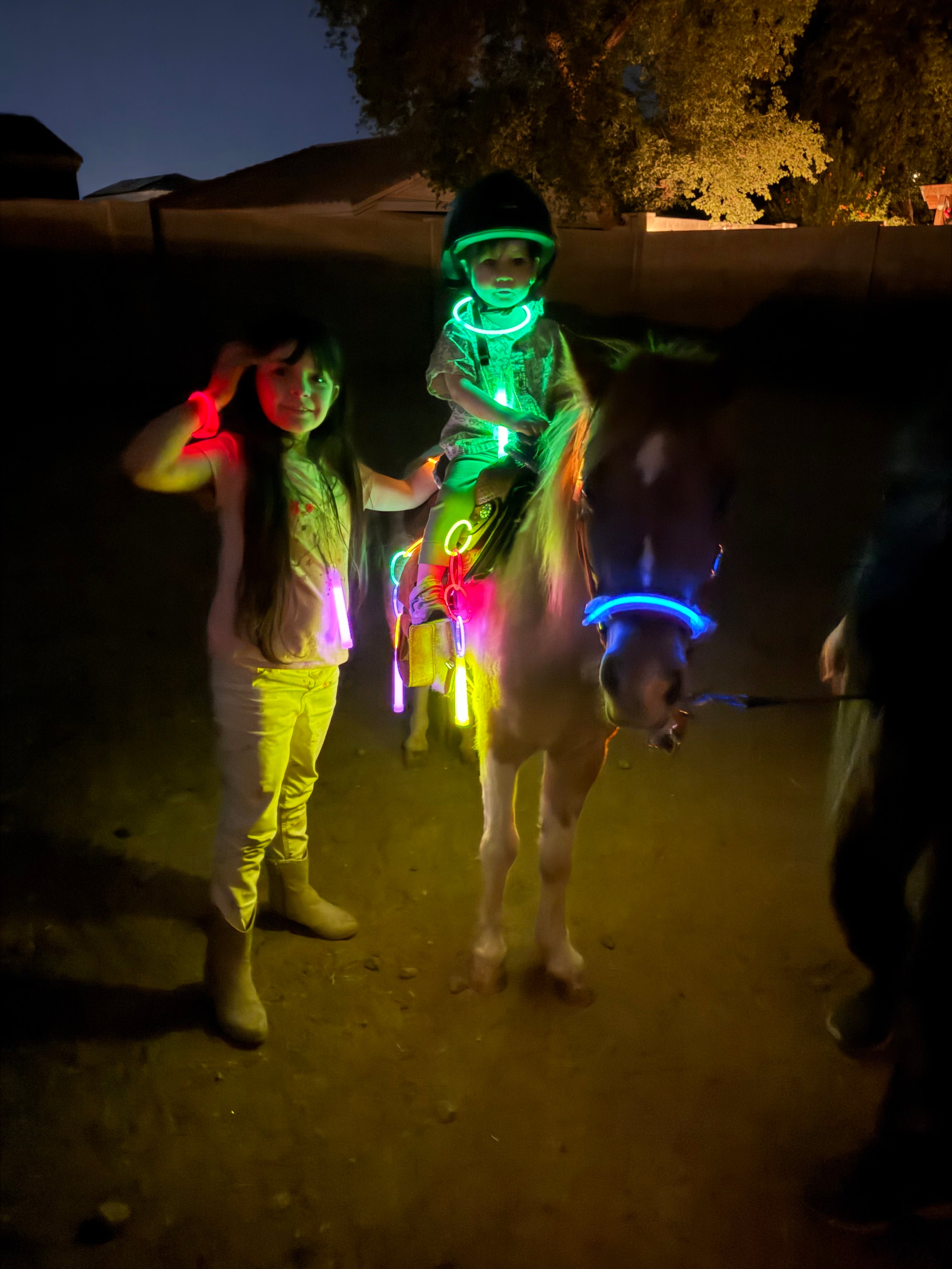 Pony Rides