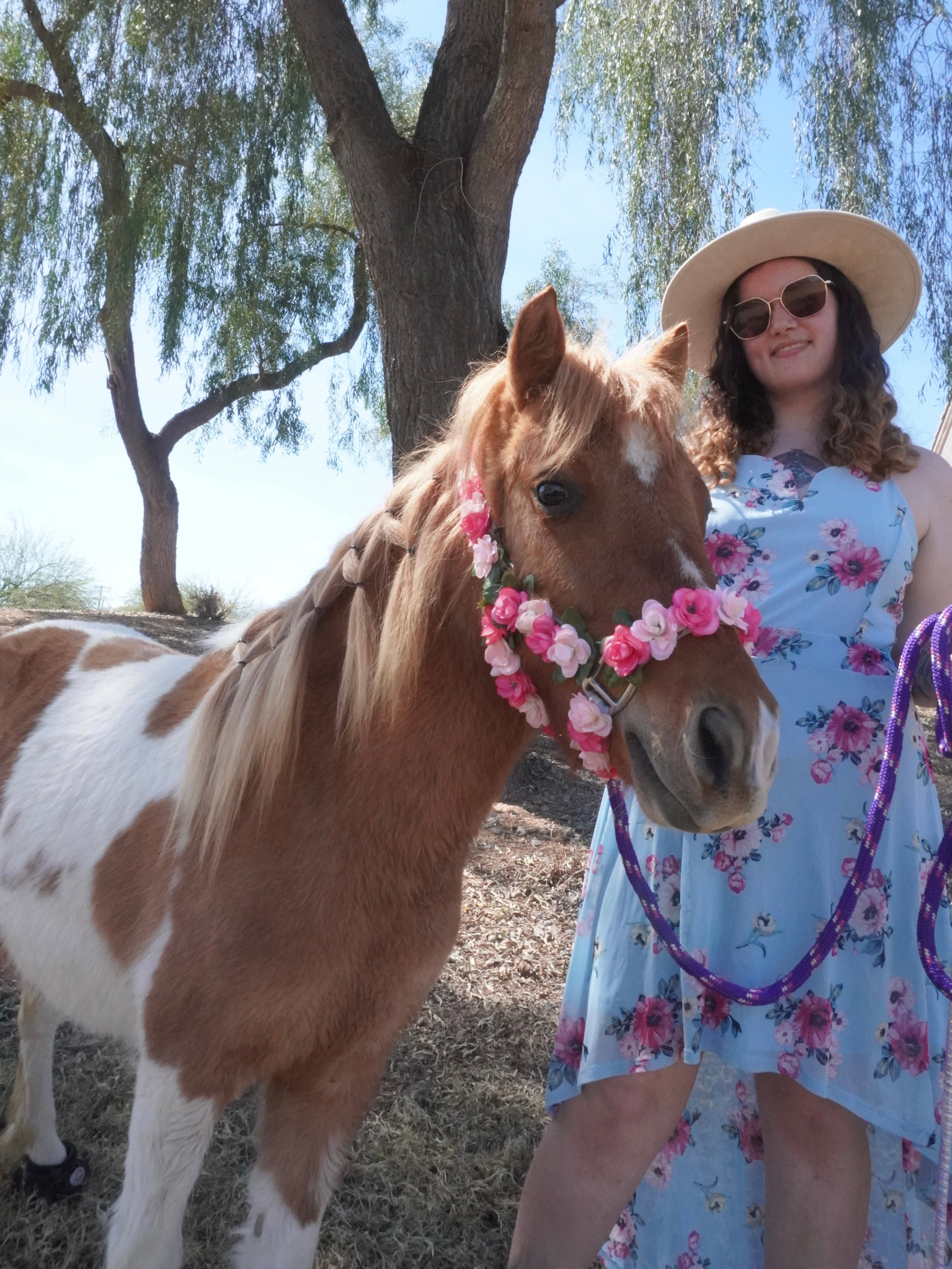Wedding Pony