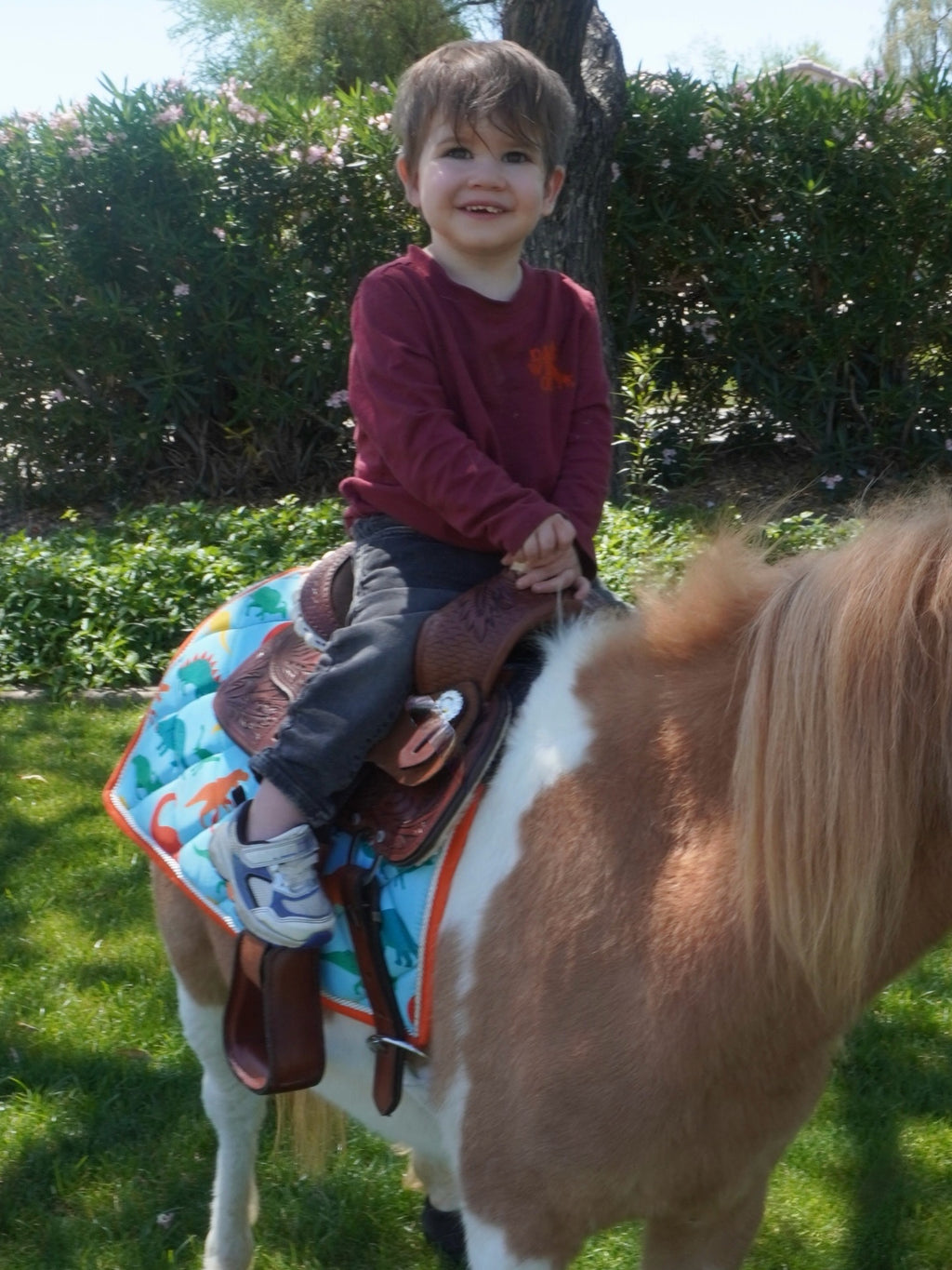 Pony Rides & Photoshoot
