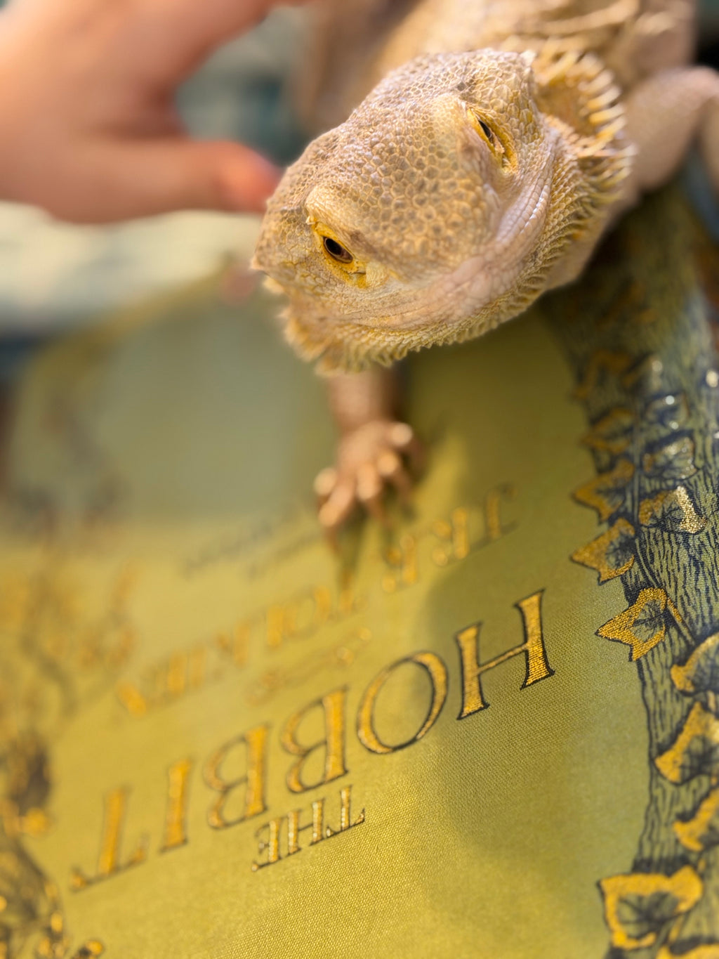 Story Time with Spirit & Reptar
