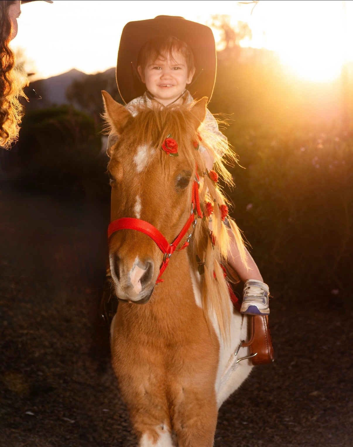 Pony Rides & Photoshoot