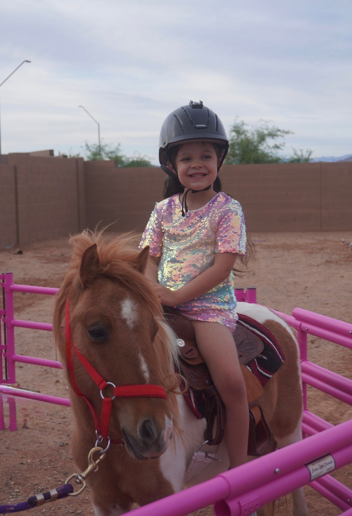Pony Rides
