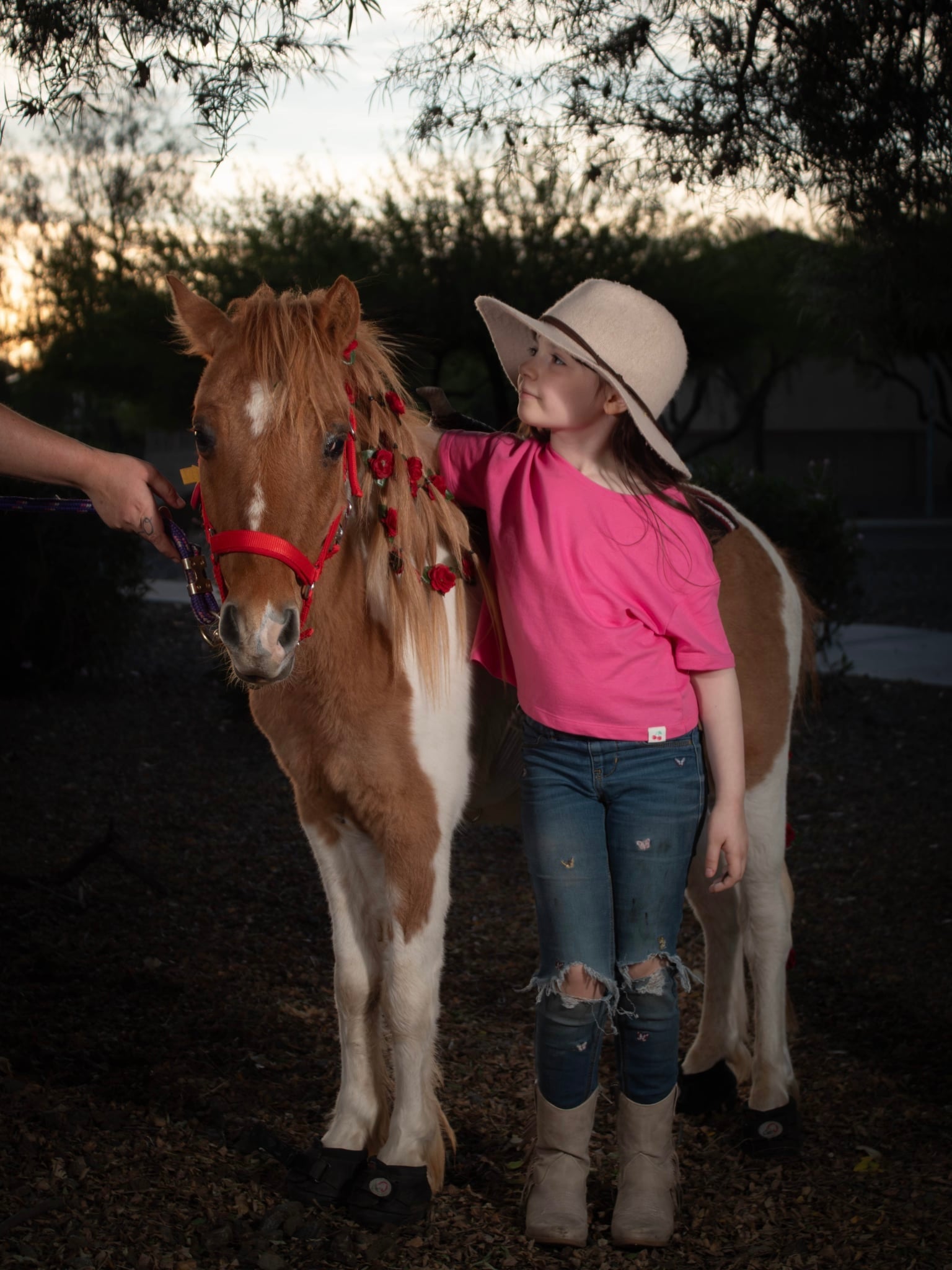 Pony Rides & Photoshoot